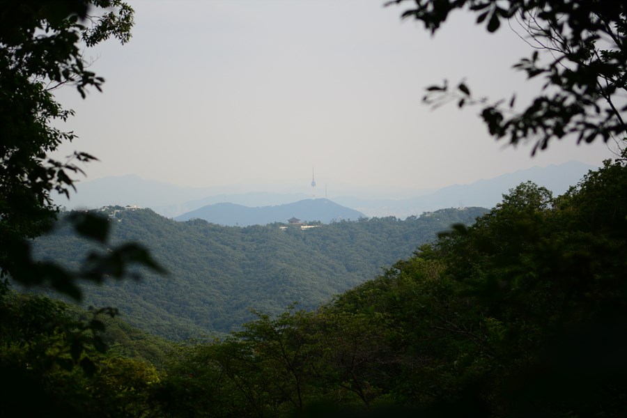 뒷산144.jpg