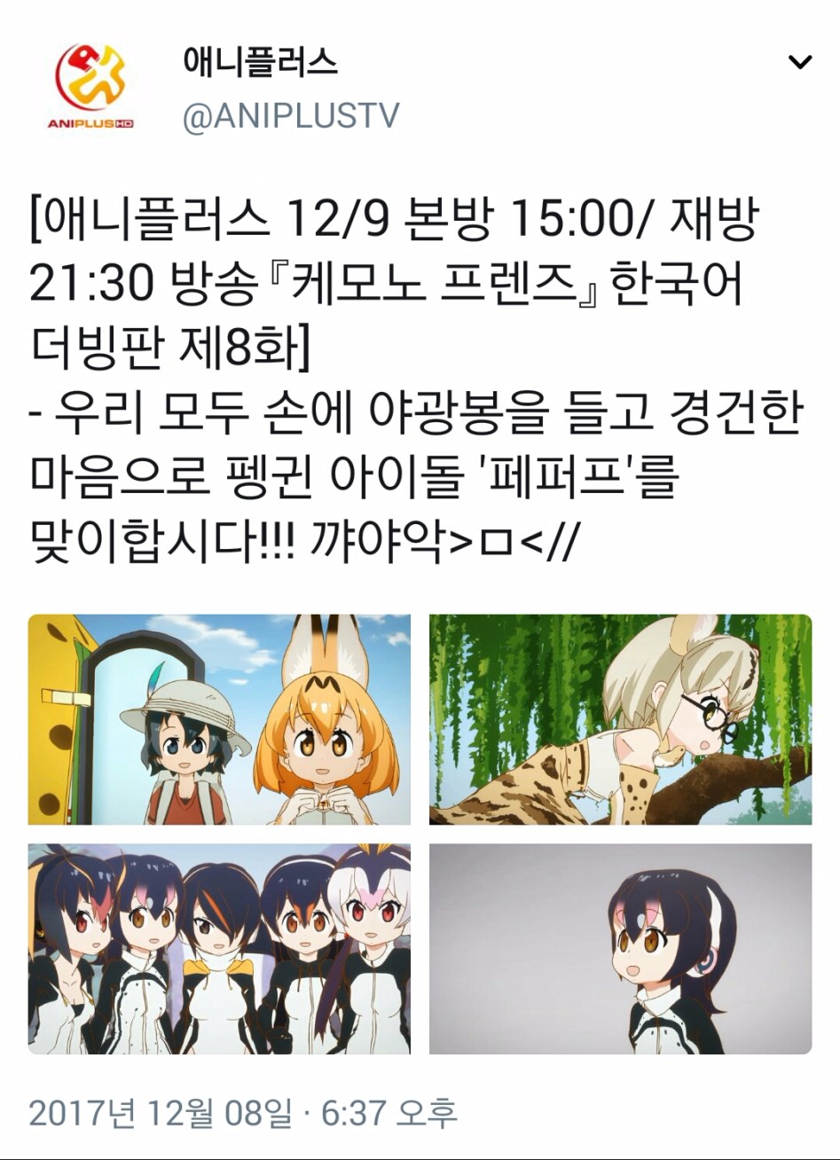 애니프렌즈 이미지