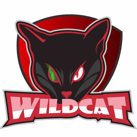 WILDCAT.jpg