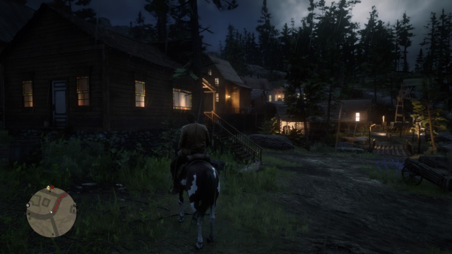 Red Dead Redemption 2_20181105115822.jpg