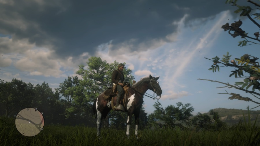 Red Dead Redemption 2_20181106052409.jpg