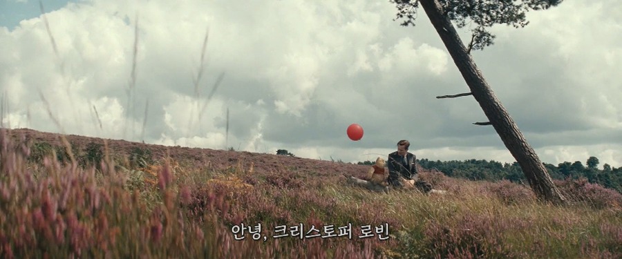 Christopher Robin 2018.1080p.BRRip.X264.AC3-EVO.mkv_20181126_184511.491.jpg