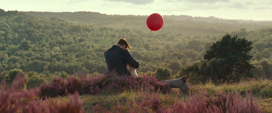 Christopher Robin 2018.1080p.BRRip.X264.AC3-EVO.mkv_20181126_184937.297.jpg