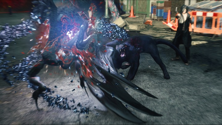 dmc1.jpg