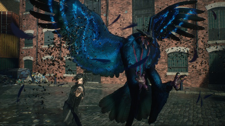 dmc2.jpg