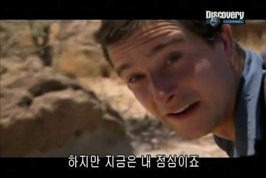 나나포나 이미지
