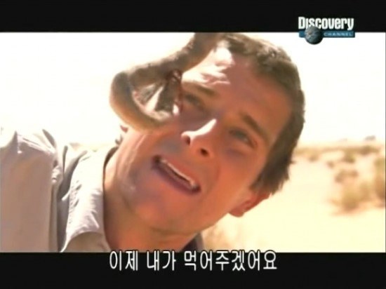 나나포나 이미지