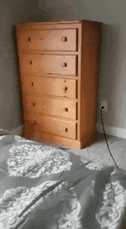 EdibleDaringAzurevasesponge.gif