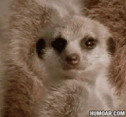 cmt/20/01/01/16f5e630b86405c6e.gif?used