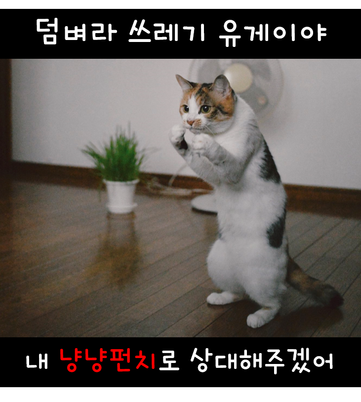 comment img