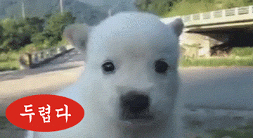 cmt/21/10/12/17c700fb6934d33ed.gif?used
