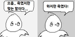 원피스)양심없는 사카즈키 | 유머 게시판