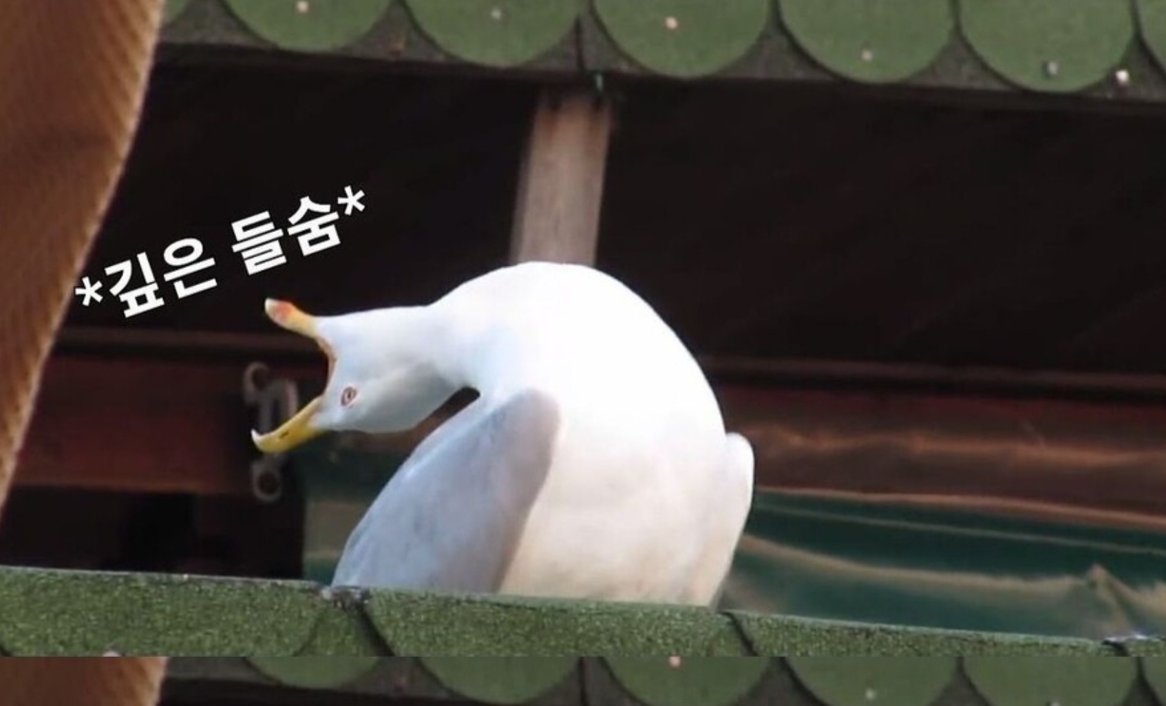 comment img