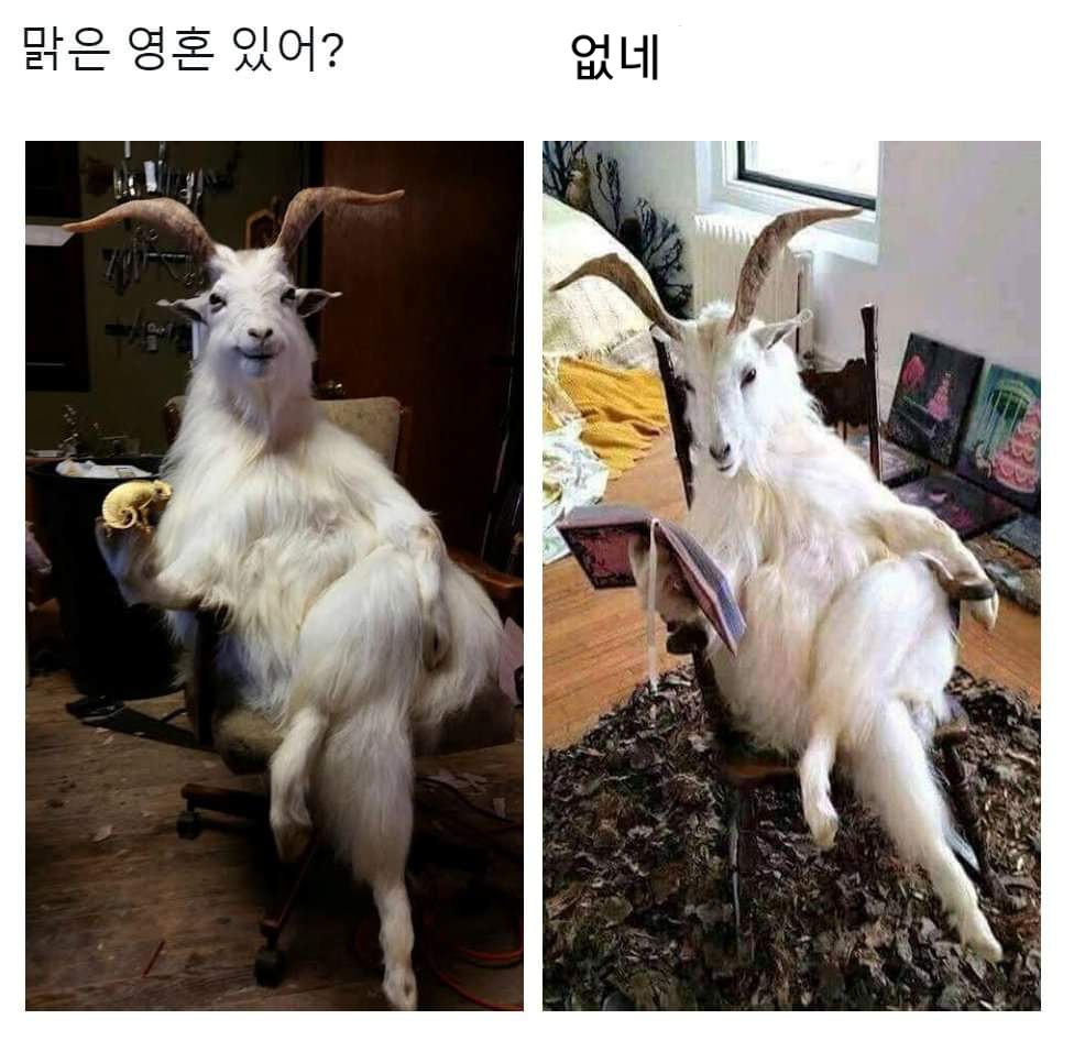 미치광이 파티가 드래곤을 사냥하는 방법manhwa