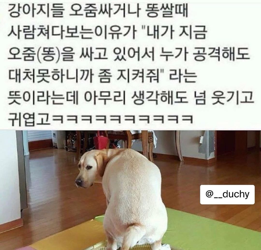 comment img