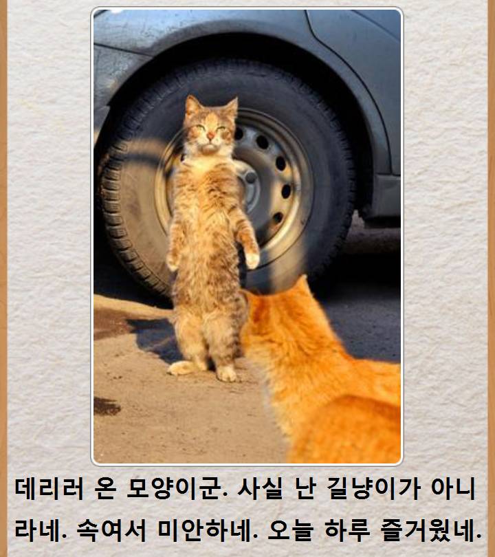 comment img