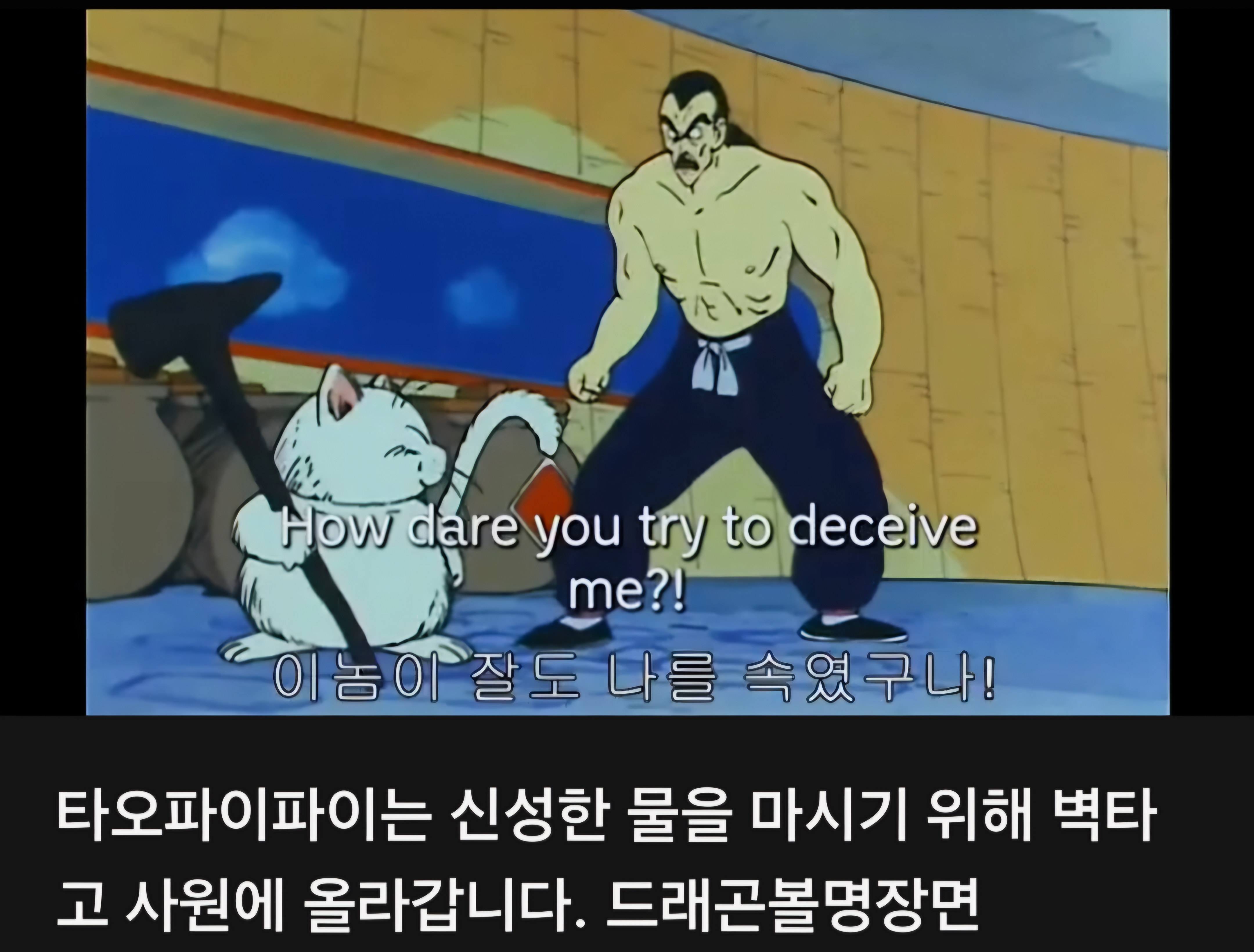 드래곤볼 너무나 리얼한 타오파이파이 피규어