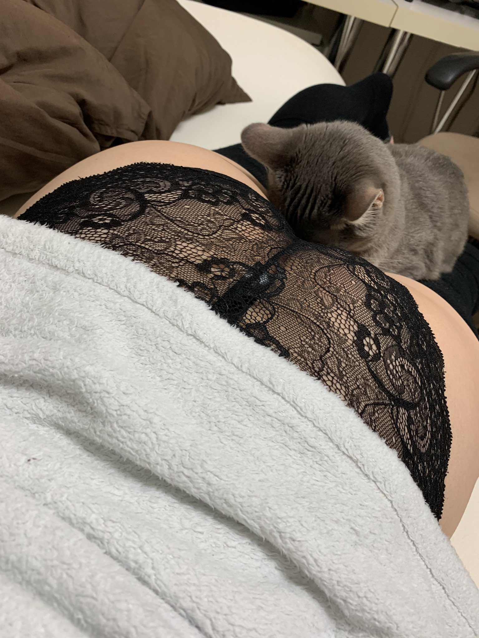 여자가 똥 싸는 만화