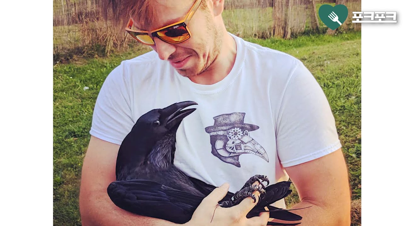 새끼 까마귀에게 밥주기