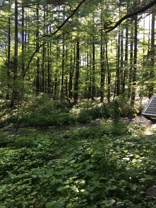 일본 북알프스 야리가다케(3180m) 백패킹을 가다_10.jpg