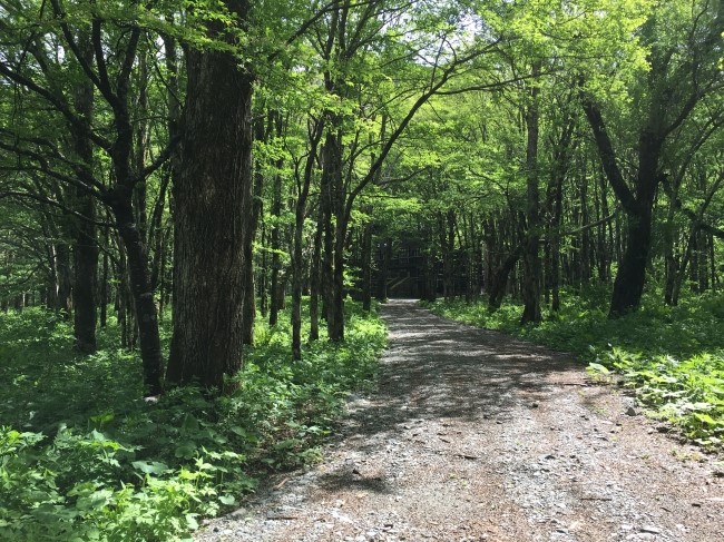 일본 북알프스 야리가다케(3180m) 백패킹을 가다_15.jpg