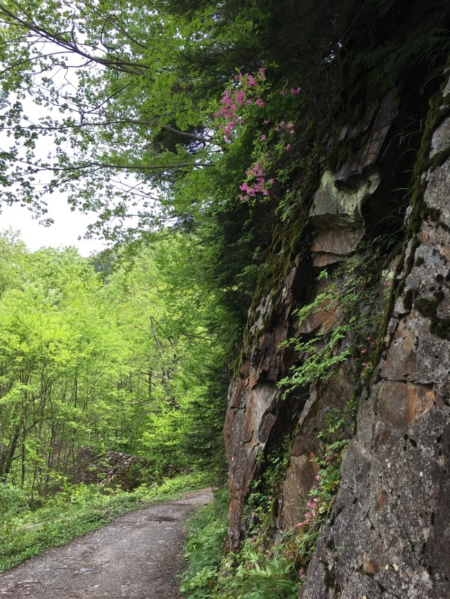 일본 북알프스 야리가다케(3180m) 백패킹을 가다_16.jpg