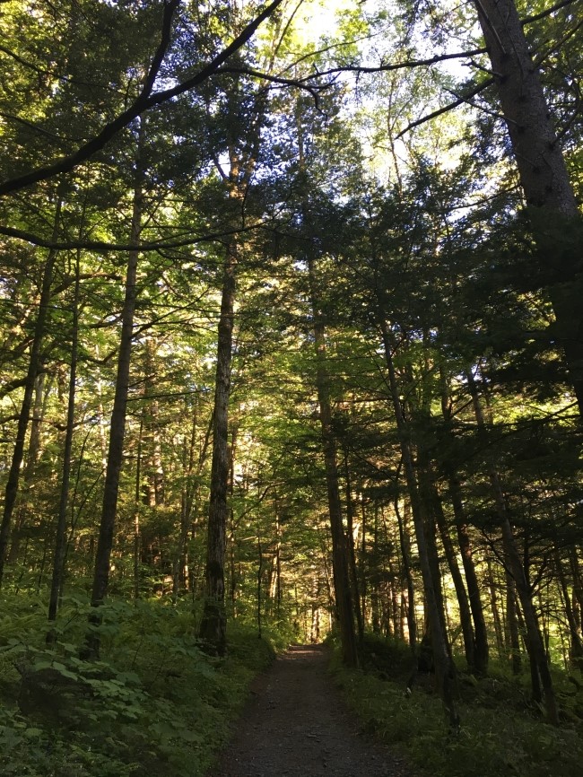 일본 북알프스 야리가다케(3180m) 백패킹을 가다_66.jpg