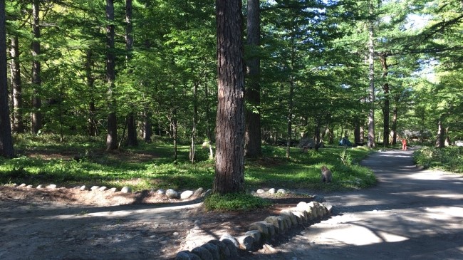 일본 북알프스 야리가다케(3180m) 백패킹을 가다_70.jpg