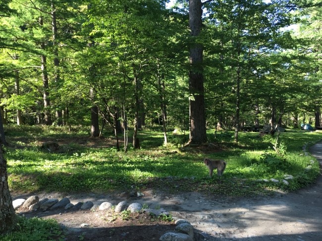 일본 북알프스 야리가다케(3180m) 백패킹을 가다_71.jpg