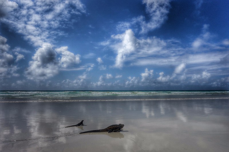 세계여행 다녀왔어요_10.jpg