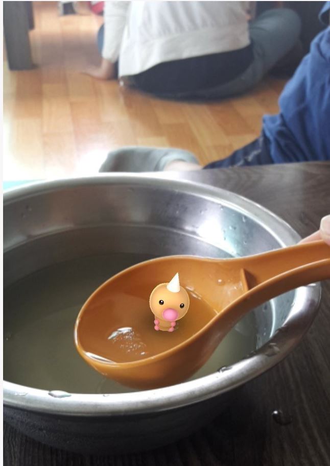 너무 더러운 속초 음식점 위생 상황_1.jpg