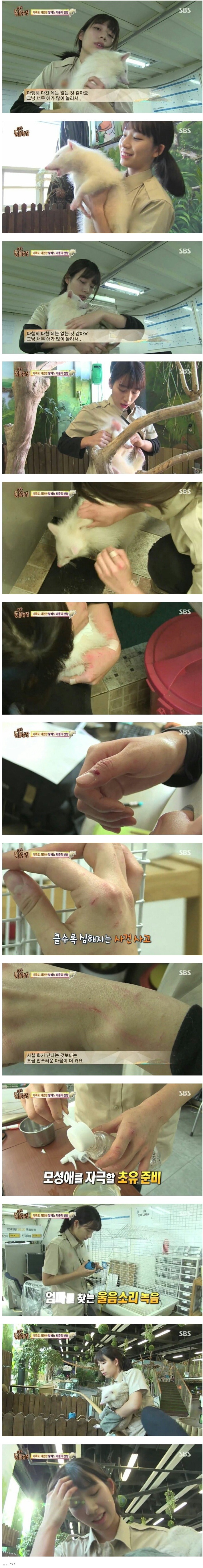 알비노 라쿤_1.jpg