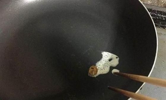 욕조에 핀 버섯을 먹은 후기.JPG_2.jpg