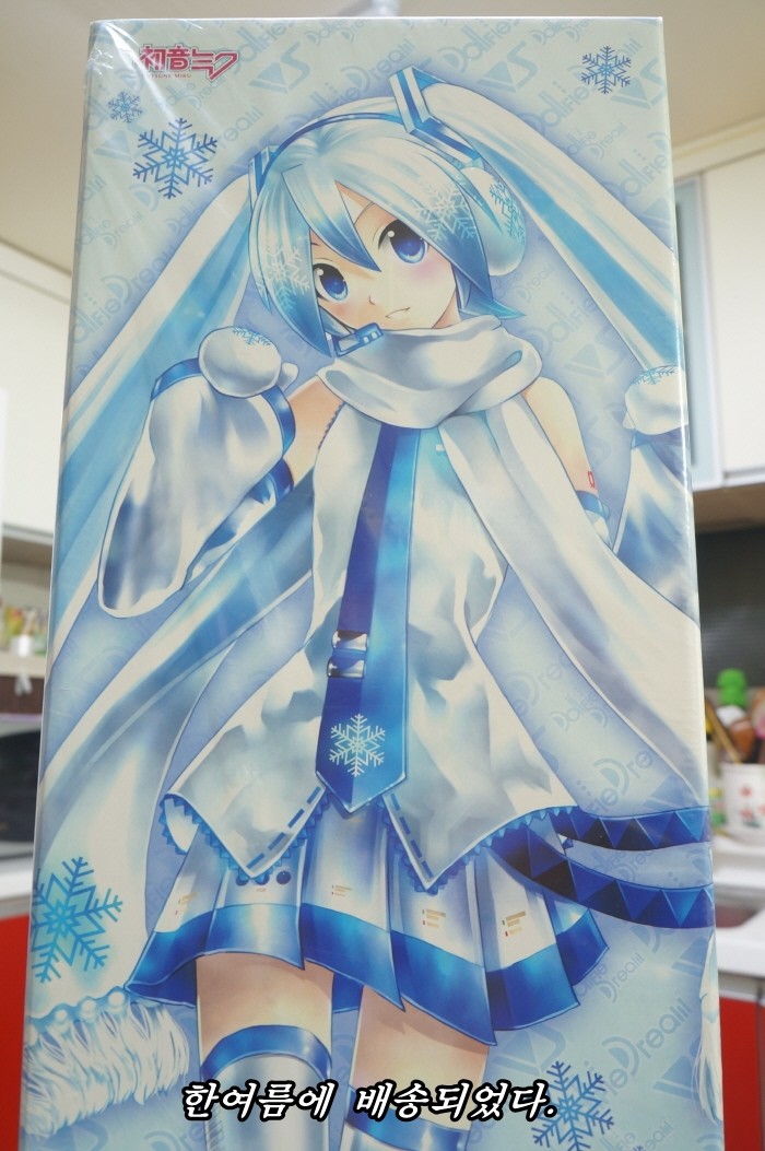 돌피드림 유키미쿠 리뷰를 작성해 보았습니다._13.jpg