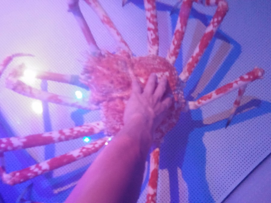 러브라이브! 선샤인! 시즈오카현 누마즈 성지순례(스압)_32.jpg