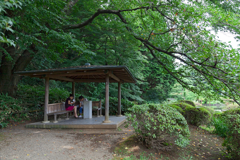 5박 6일 도쿄 여행사진 [스압주의]_140.jpg