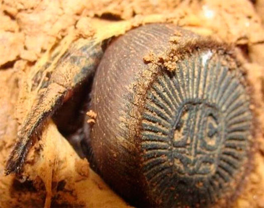 땅 속에서 뭔가 나왔다.JPG_3.jpg