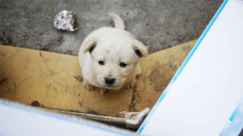 Tour de muckrathon (트루 드 먹라톤) 10주년 정리_100.png