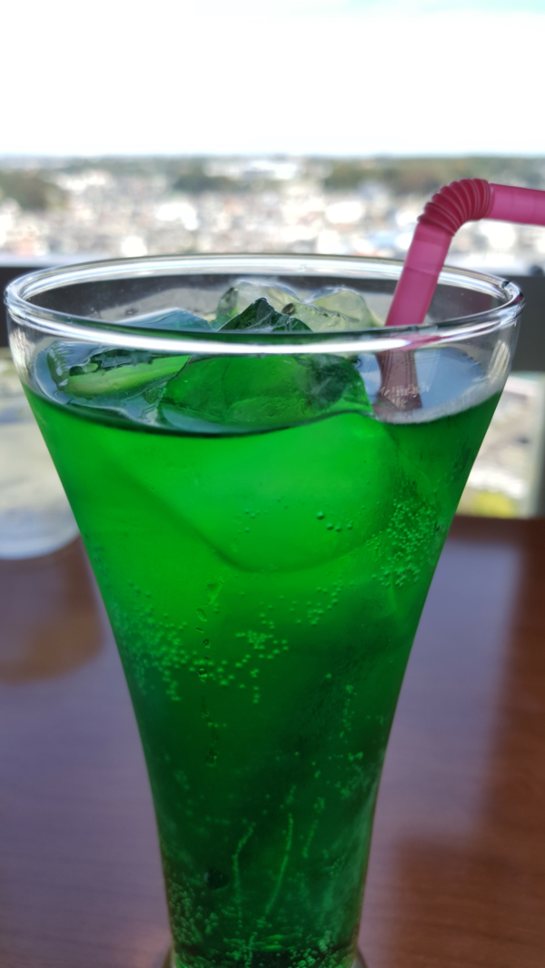 일본 오아라이 자전거 여행 (걸즈 앤 판처 성지순례)_16.png