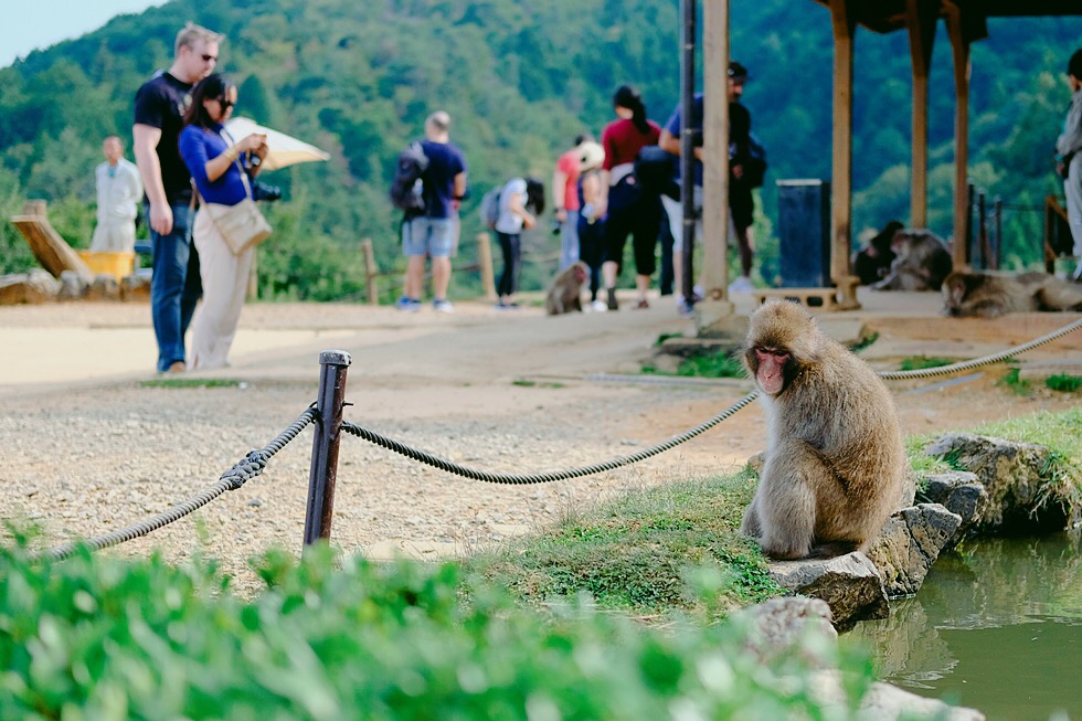 홀로 2박3일 일본 교토 여행사진 72장 (스압주의)_35.jpg