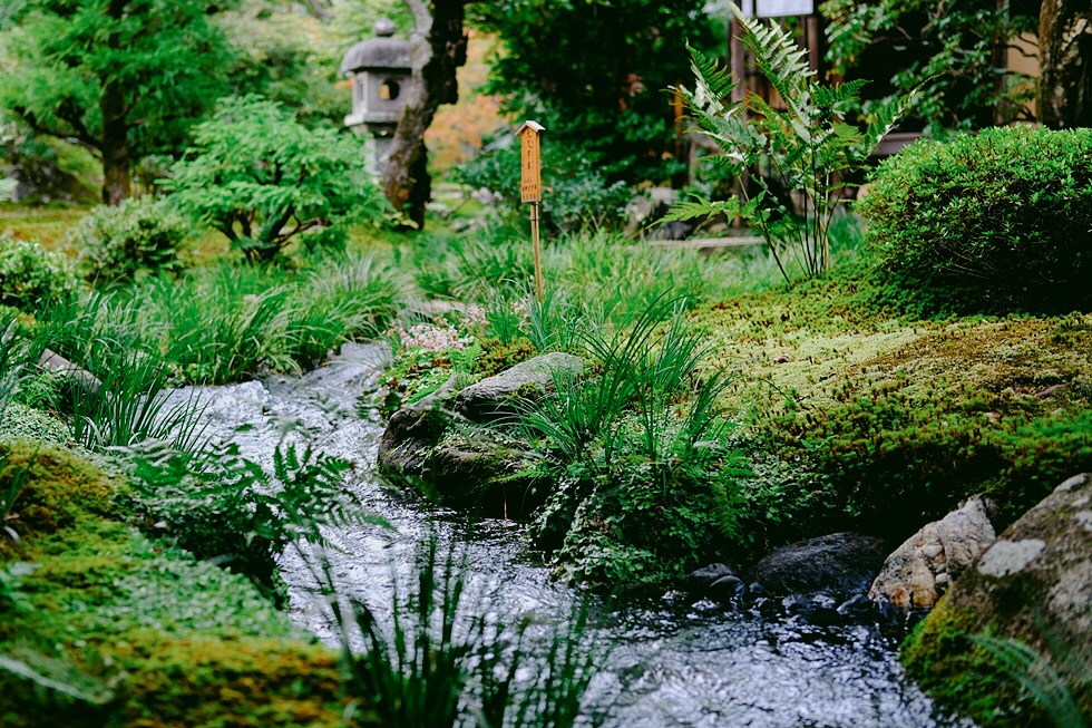 홀로 2박3일 일본 교토 여행사진 72장 (스압주의)_39.jpg