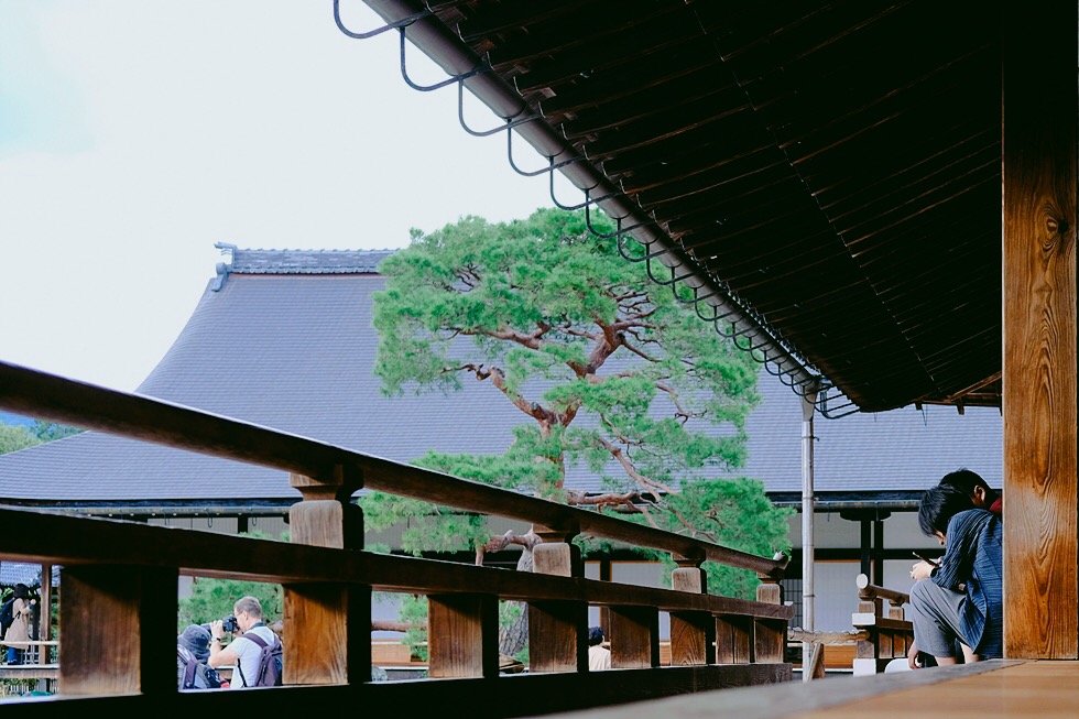 홀로 2박3일 일본 교토 여행사진 72장 (스압주의)_38.jpg