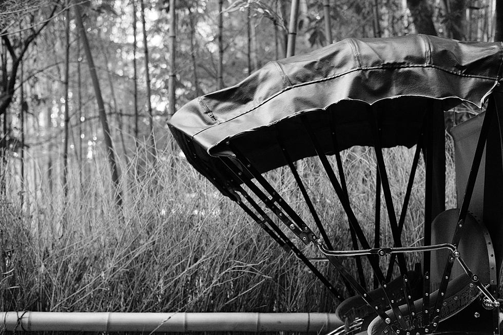 홀로 2박3일 일본 교토 여행사진 72장 (스압주의)_43.jpg