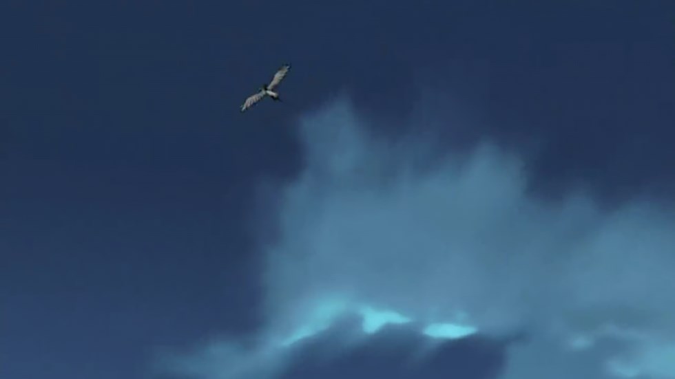 [나루토] 1미~9미,외도마상,그리고 인주력전대..._143.jpg