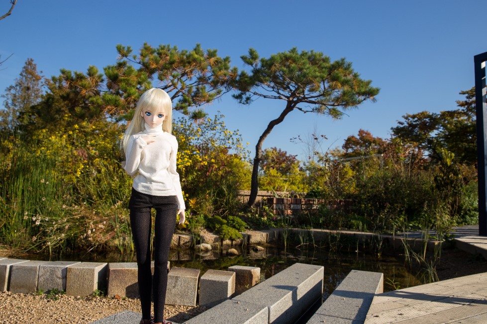 가을....서울 월드컵 공원에서...._4.jpg