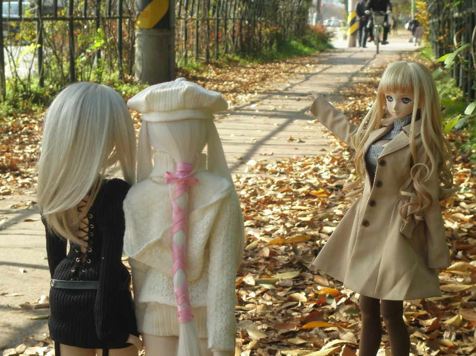 단체로 가을 분위기 잡고 찍어보았습니다._9.jpg