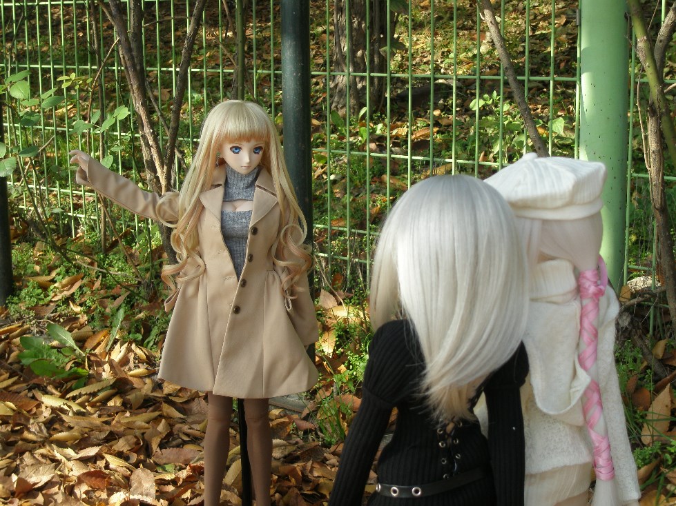 단체로 가을 분위기 잡고 찍어보았습니다._12.jpg