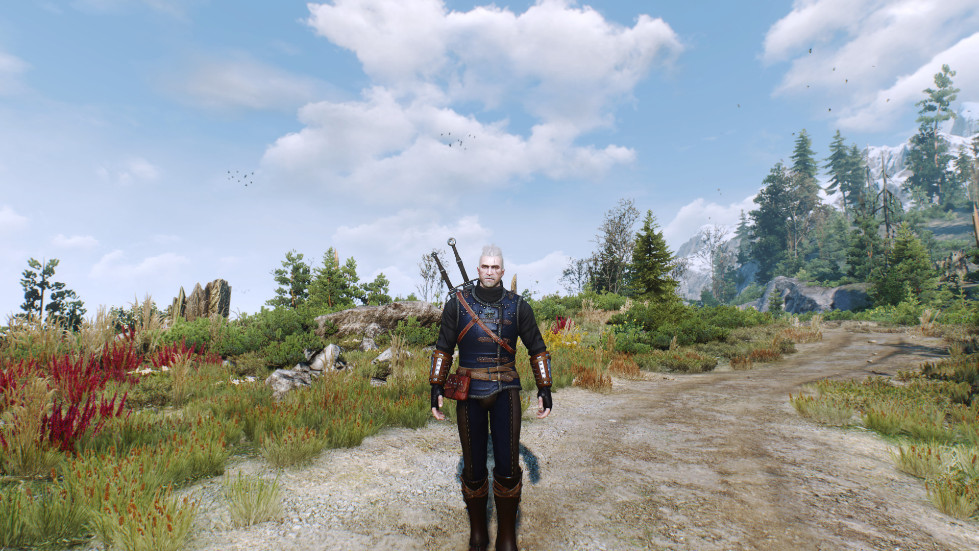 witcher3-2016-11-14-01-08-07-432.jpg