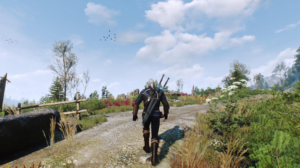 witcher3-2016-11-14-01-08-00-933.jpg