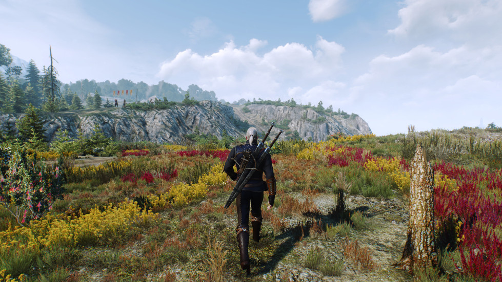 witcher3-2016-11-14-01-09-06-526.jpg